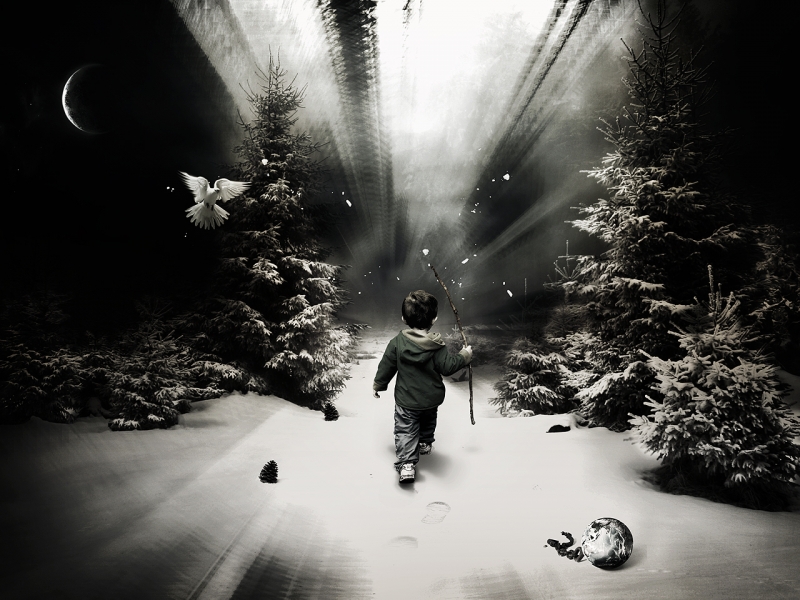Boy walking through a forest alone