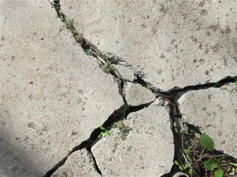cracked concrete and weeds