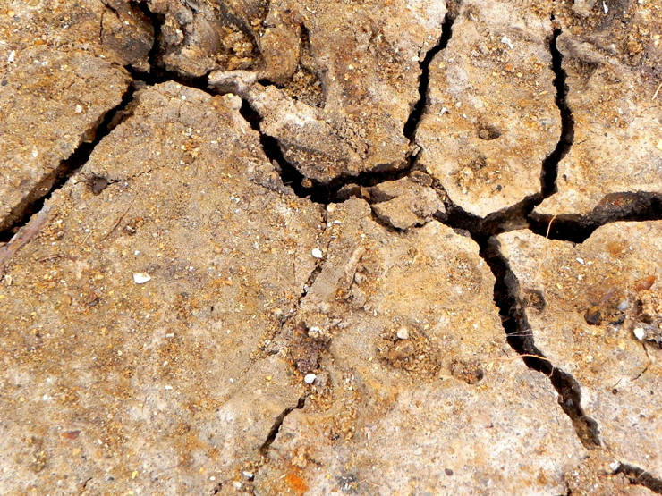 Image of cracked clay soil
