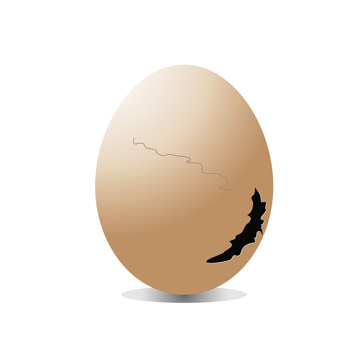 Photo of a cracked egg